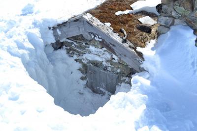 post-7299-0-41210600-1430732190_thumb.jp