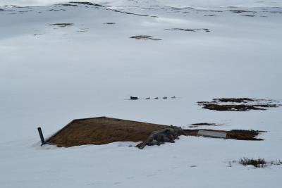 post-7299-0-84531000-1430728306_thumb.jp