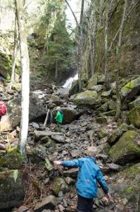 post-7957-0-01457400-1431362581_thumb.jp