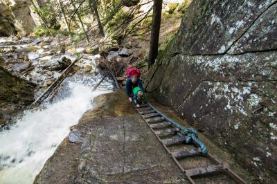 post-7957-0-10699400-1431362525_thumb.jp