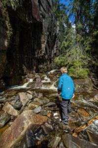 post-7957-0-15023900-1431362470_thumb.jp