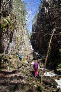 post-7957-0-18959100-1431362318_thumb.jp