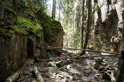 post-7957-0-19957900-1431362394_thumb.jp