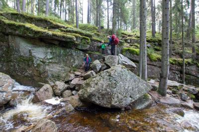 post-7957-0-22652100-1431362929_thumb.jp