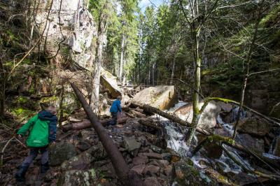 post-7957-0-25566300-1431362807_thumb.jp