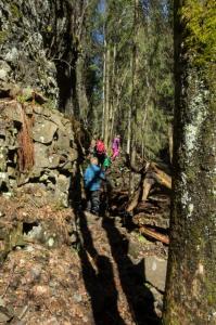 post-7957-0-44089400-1431362366_thumb.jp