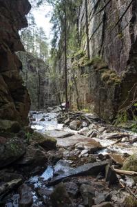 post-7957-0-60737200-1431362445_thumb.jp