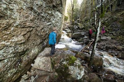 post-7957-0-74014700-1431362609_thumb.jp