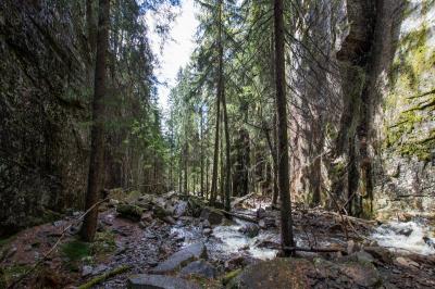 post-7957-0-76415100-1431362712_thumb.jp