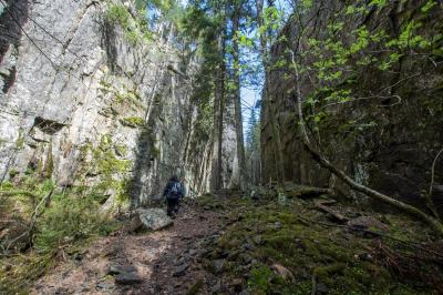 post-7957-0-82500100-1431362676_thumb.jp