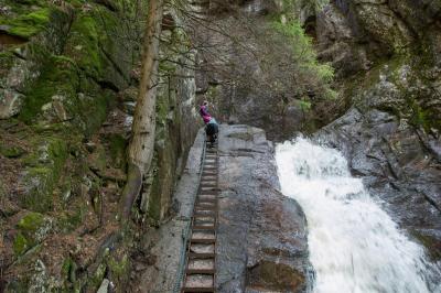 post-7957-0-96933400-1431362551_thumb.jp