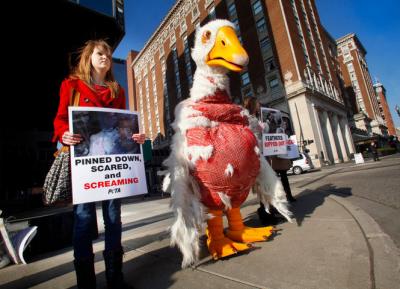 post-8333-0-69509600-1431186026_thumb.jp