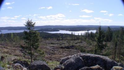 post-9907-0-29691900-1432936830_thumb.jp