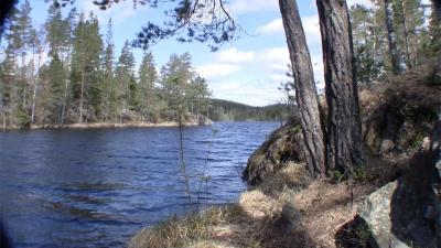 post-9907-0-42090900-1432936981_thumb.jp