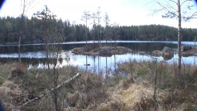 post-9907-0-90290400-1432936752_thumb.jp