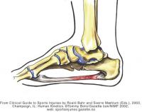 post-10478-0-40806800-1340708098_thumb.j