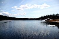 post-1532-0-02800700-1338940914_thumb.jp