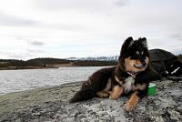 post-1532-0-03107800-1338940940_thumb.jp