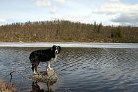 post-1532-0-06398000-1338940922_thumb.jp