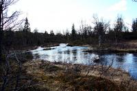 post-1532-0-17637900-1338940947_thumb.jp