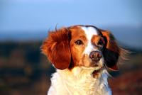 post-1532-0-40213700-1338940906_thumb.jp