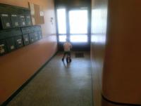 post-9803-0-24348500-1339954405_thumb.jp