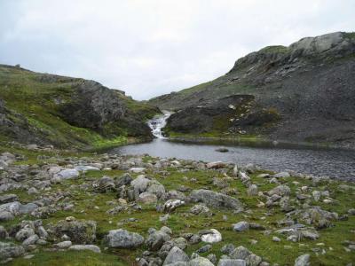 post-10226-0-24966400-1372544080_thumb.j