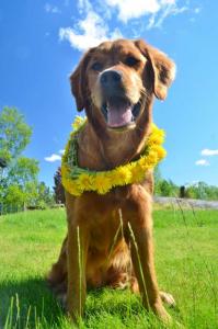 post-11749-0-30442000-1371838830_thumb.j