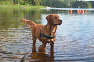 post-11749-0-78778400-1371838618_thumb.j