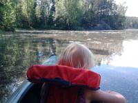 post-11774-0-02669200-1370210452_thumb.j