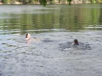 post-11774-0-26698200-1370756517_thumb.j