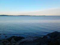 post-11774-0-47722200-1370292958_thumb.j