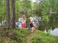 post-11774-0-58513400-1370756298_thumb.j