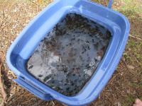 post-11774-0-77703400-1370756371_thumb.j