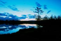 post-12265-0-72854400-1370453501_thumb.j