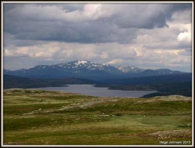 post-4444-0-01985100-1372612415_thumb.jp