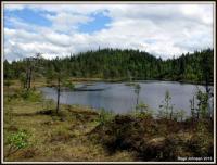 post-4444-0-19357800-1371408167_thumb.jp