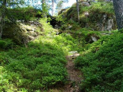 post-6789-0-89706400-1372630636_thumb.jp