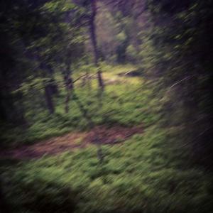 post-9775-0-17241000-1371587328_thumb.jp