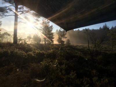 post-10084-0-94146400-1402177847_thumb.j