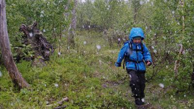 post-10401-0-24765700-1403275684_thumb.j