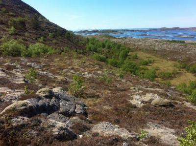 post-10401-0-72193800-1401975059_thumb.j