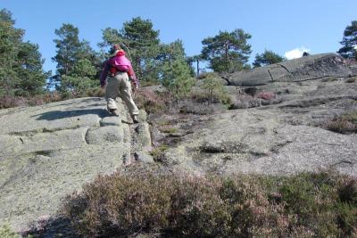 post-11774-0-70557100-1403729113_thumb.j