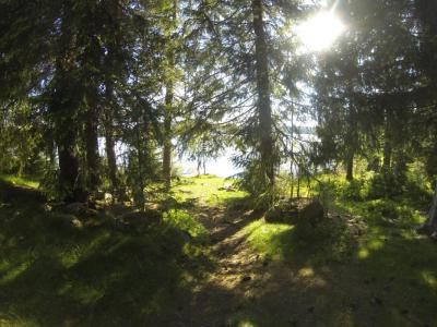 post-11941-0-92331800-1401816860_thumb.j