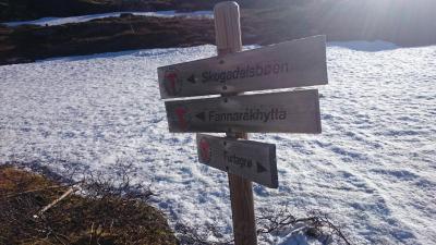 post-12082-0-04110400-1402782030_thumb.j