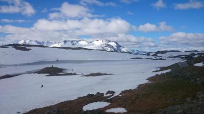 post-12082-0-09627000-1403457963_thumb.j