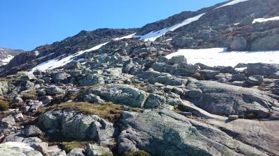 post-12082-0-10569200-1402782202_thumb.j