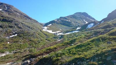 post-12082-0-18283600-1402782021_thumb.j