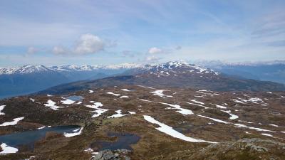 post-12082-0-25945500-1402181563_thumb.j