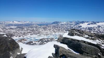 post-12082-0-35689600-1402782707_thumb.j